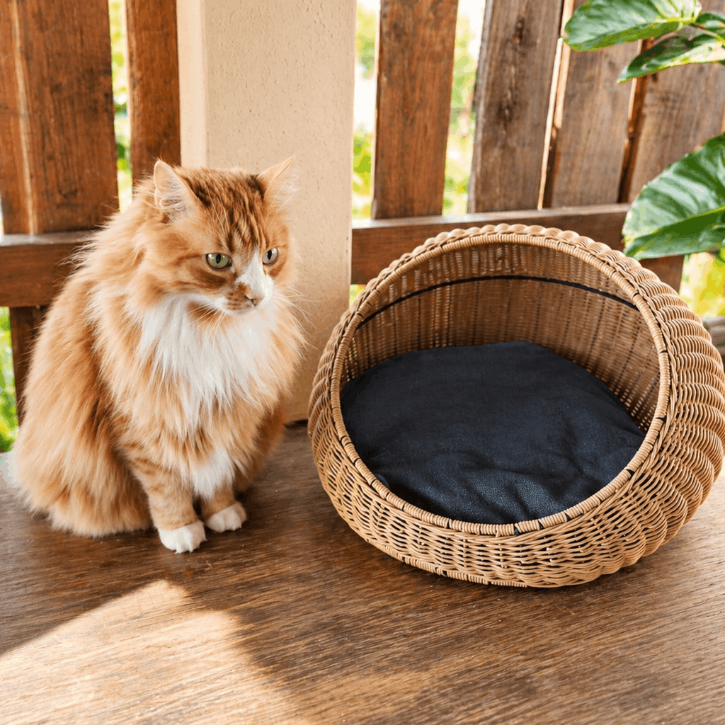 Maison cocon en rotin pour chat / petit chien – Ø47 × 30 cm - Boutique Aux Trois Pattes