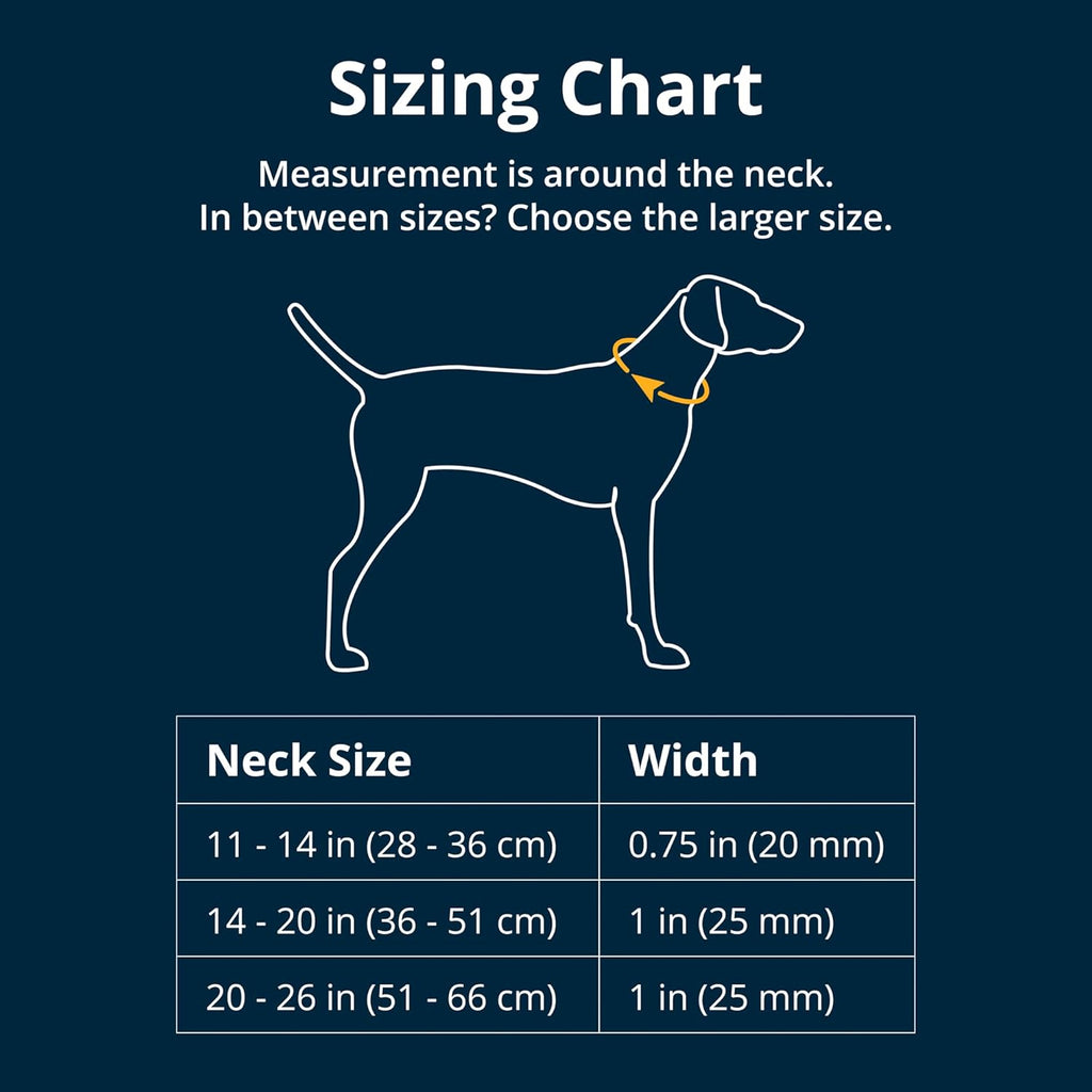 Collier pour chien Ruffwear Crag™ Midnight Wave - Boutique Aux Trois Pattes
