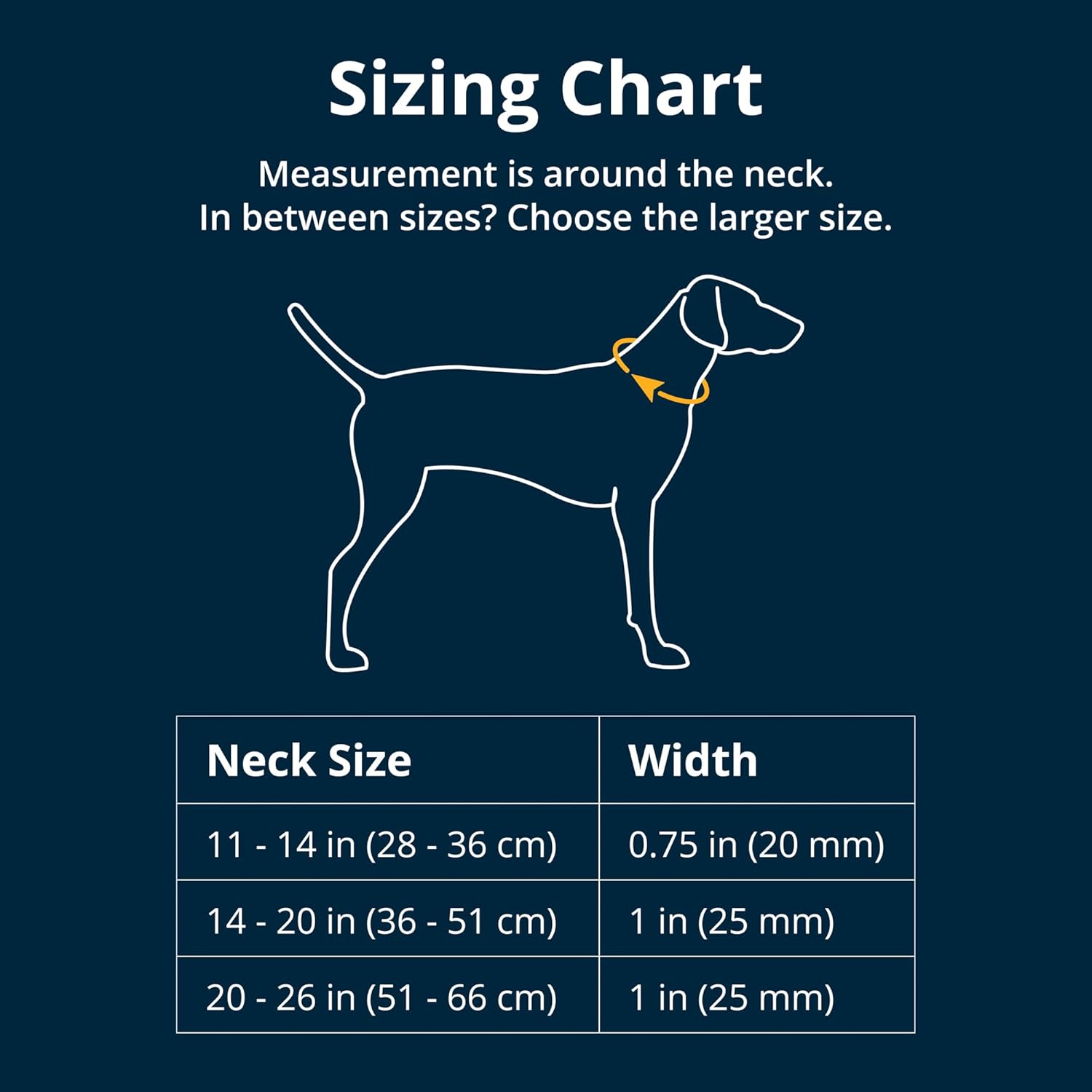 Collier pour chien Ruffwear Crag™ Midnight Wave - Boutique Aux Trois Pattes