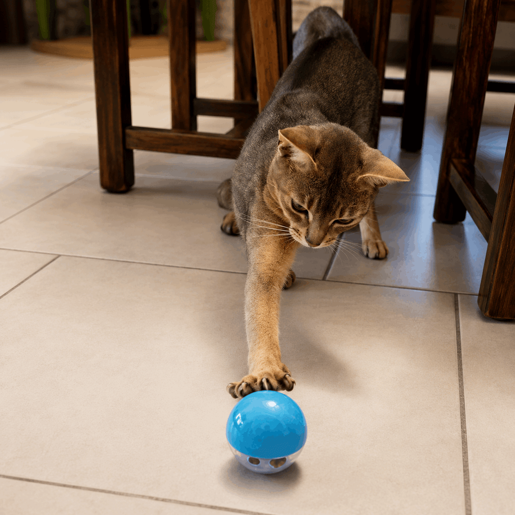 Balle distributrice de friandises pour chat – Bleue - Boutique Aux Trois Pattes