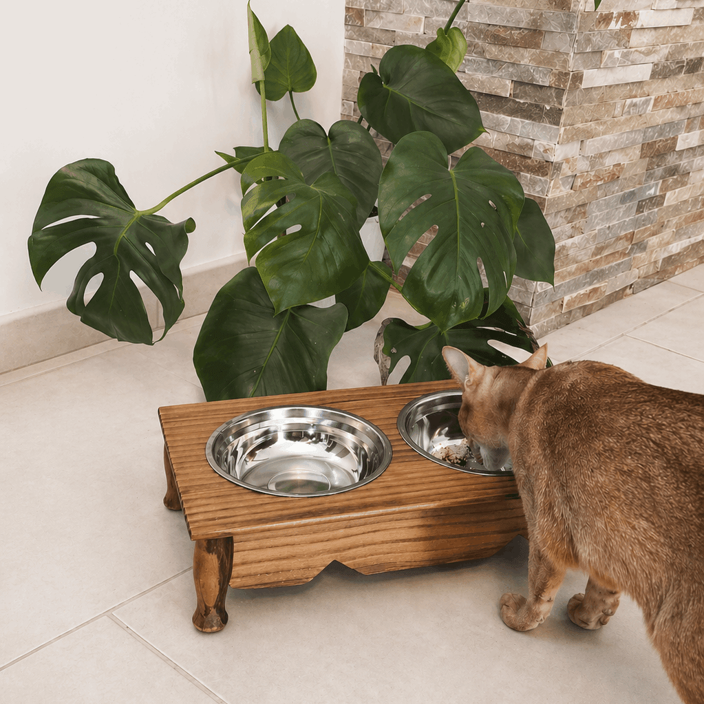 Gamelle surélevée double chien & chat – 2 x 500 ml – Bois - Boutique Aux Trois Pattes