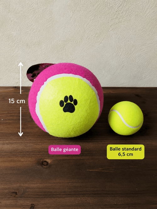 Balle de tennis géante pour chien – 15 cm - Boutique Aux Trois Pattes