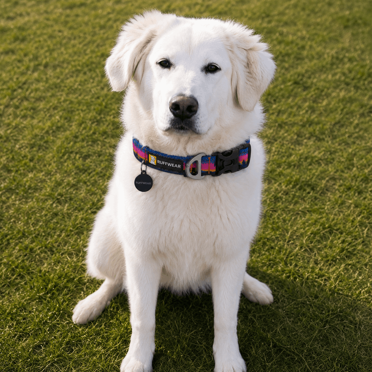 Collier pour chien Ruffwear Crag™ Alpine Dusk - Boutique Aux Trois Pattes