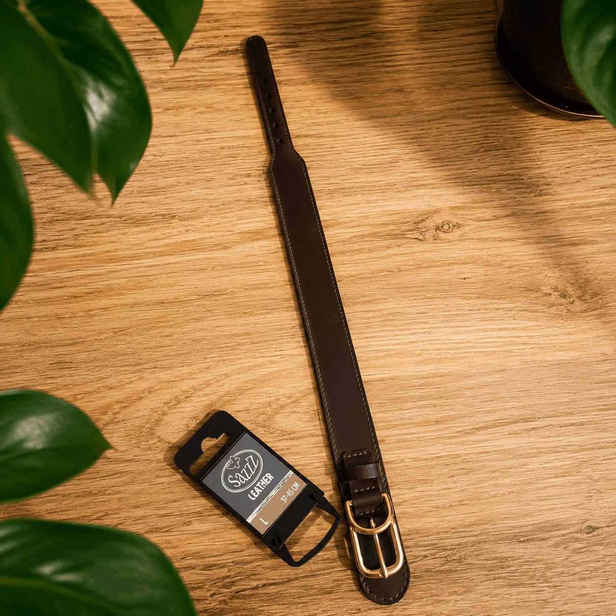 Collier pour chien Sazzz Pioneer en cuir brun- Boutique Aux Trois Pattes