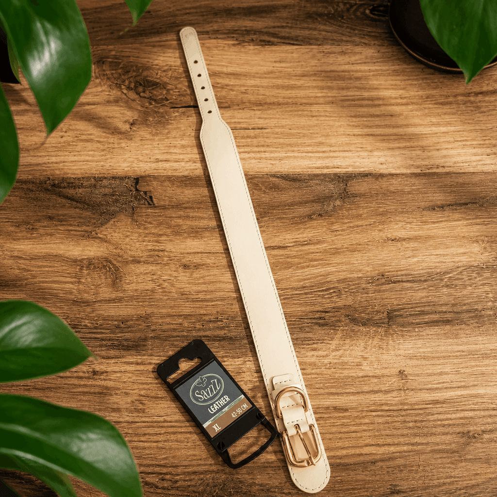 Collier pour chien Sazzz Pioneer en cuir blanc - Boutique Aux Trois Pattes