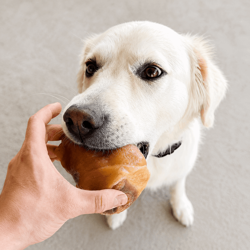 Farmz Serrano – Patte de porc fumée sans sabot pour chien - Boutique Aux Trois Pattes