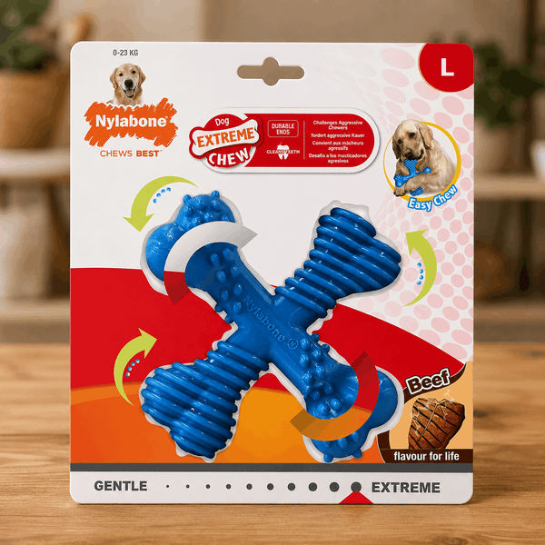 Jouet à mâcher Nylabone format croix goût bœuf – Taille L (Chien de 4 à 23Kg) - Boutique Aux Trois Pattes