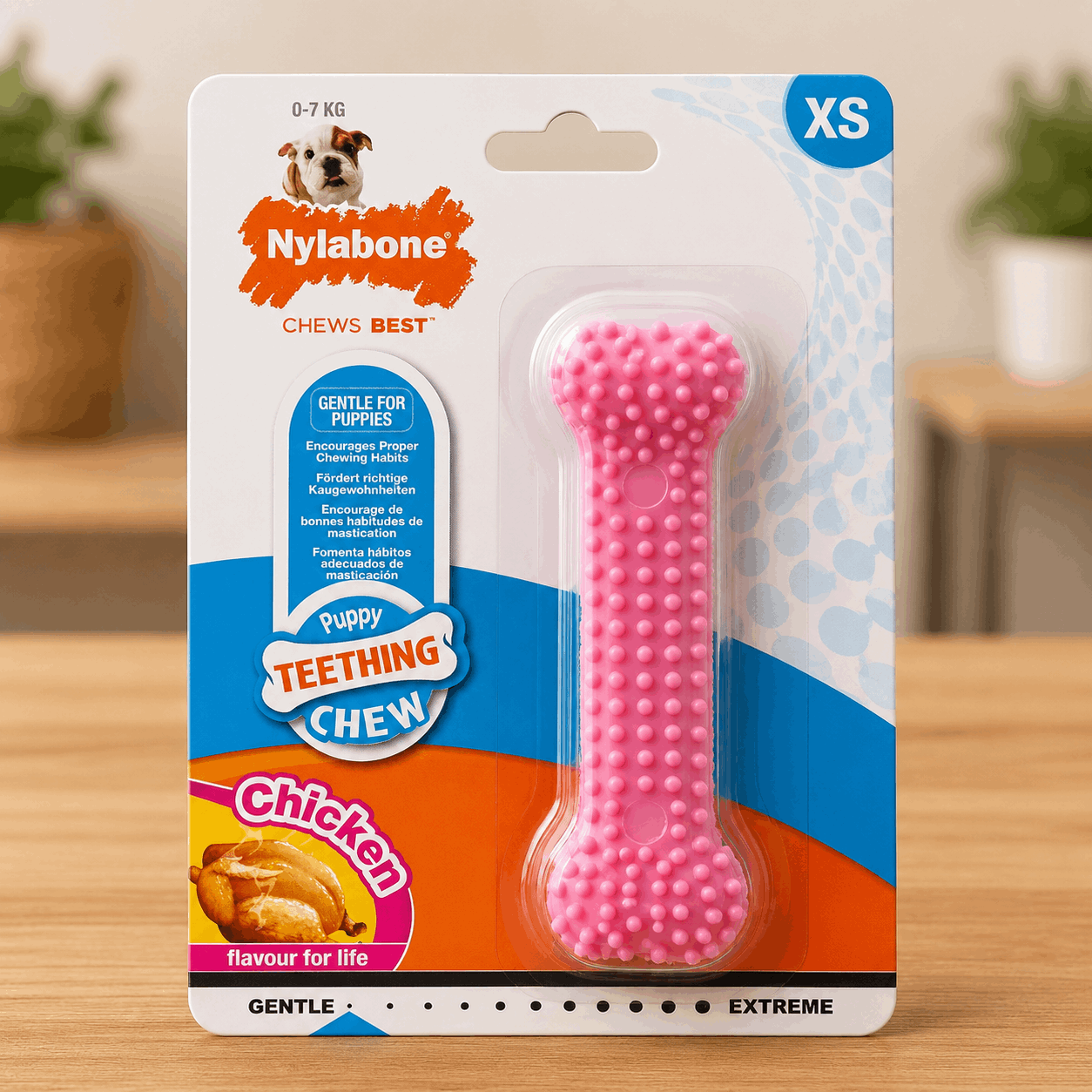 Jouet à mâcher Nylabone pour chiots et petit chiens goût poulet – Taille XS - Boutique Aux Trois Pattes