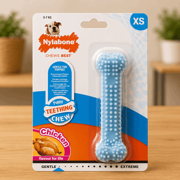 Jouet à mâcher Nylabone pour chiots et petit chiens goût poulet – Taille XS - Boutique Aux Trois Pattes
