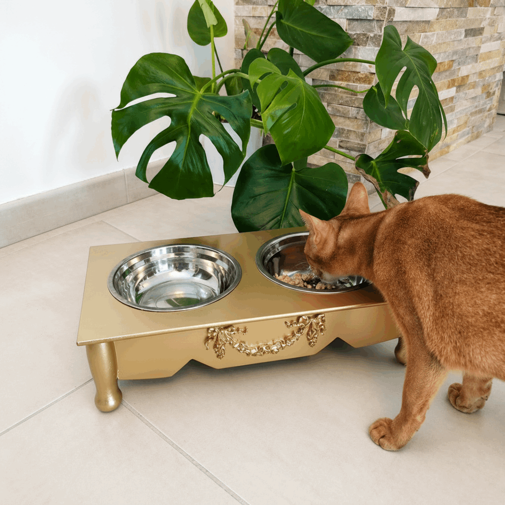 Gamelle surélevée double chien & chat – 2 x 500 ml – Noir ou Doré - Boutique Aux Trois Pattes