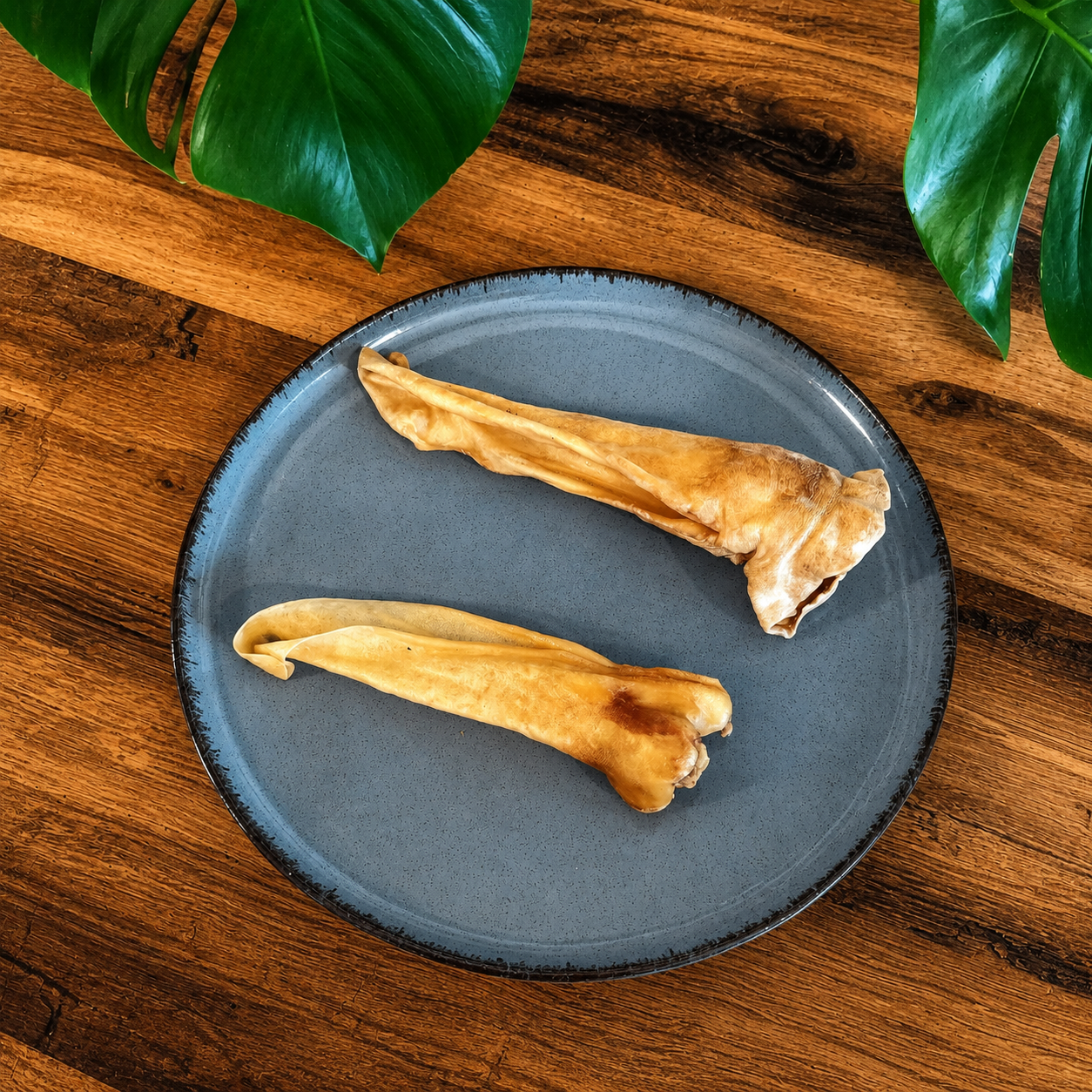 Oreilles de chèvre sans poils naturelles séchées pour chien sur une assiette bleue
