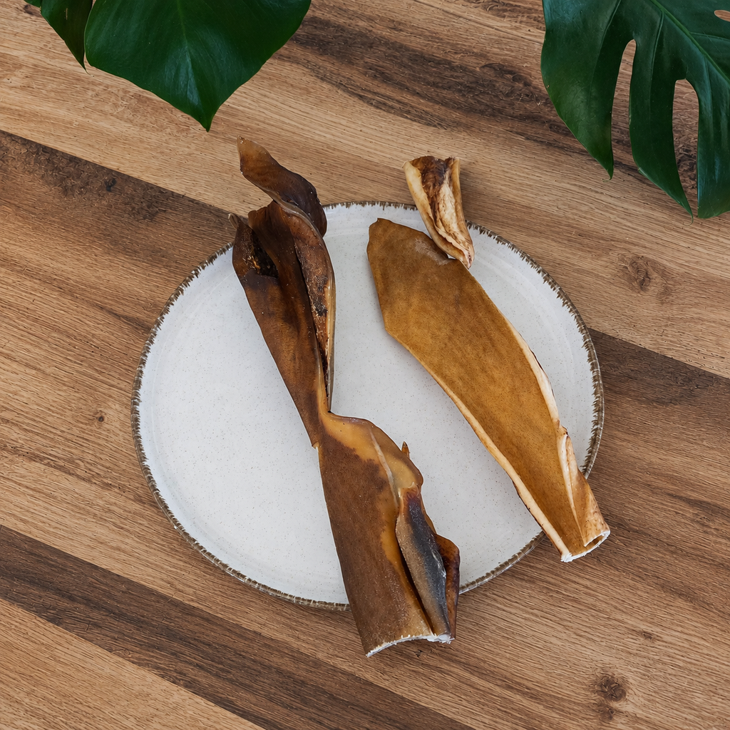 Peau de tête de bœuf naturelle séchée de 30 cm pour chien sur assiette