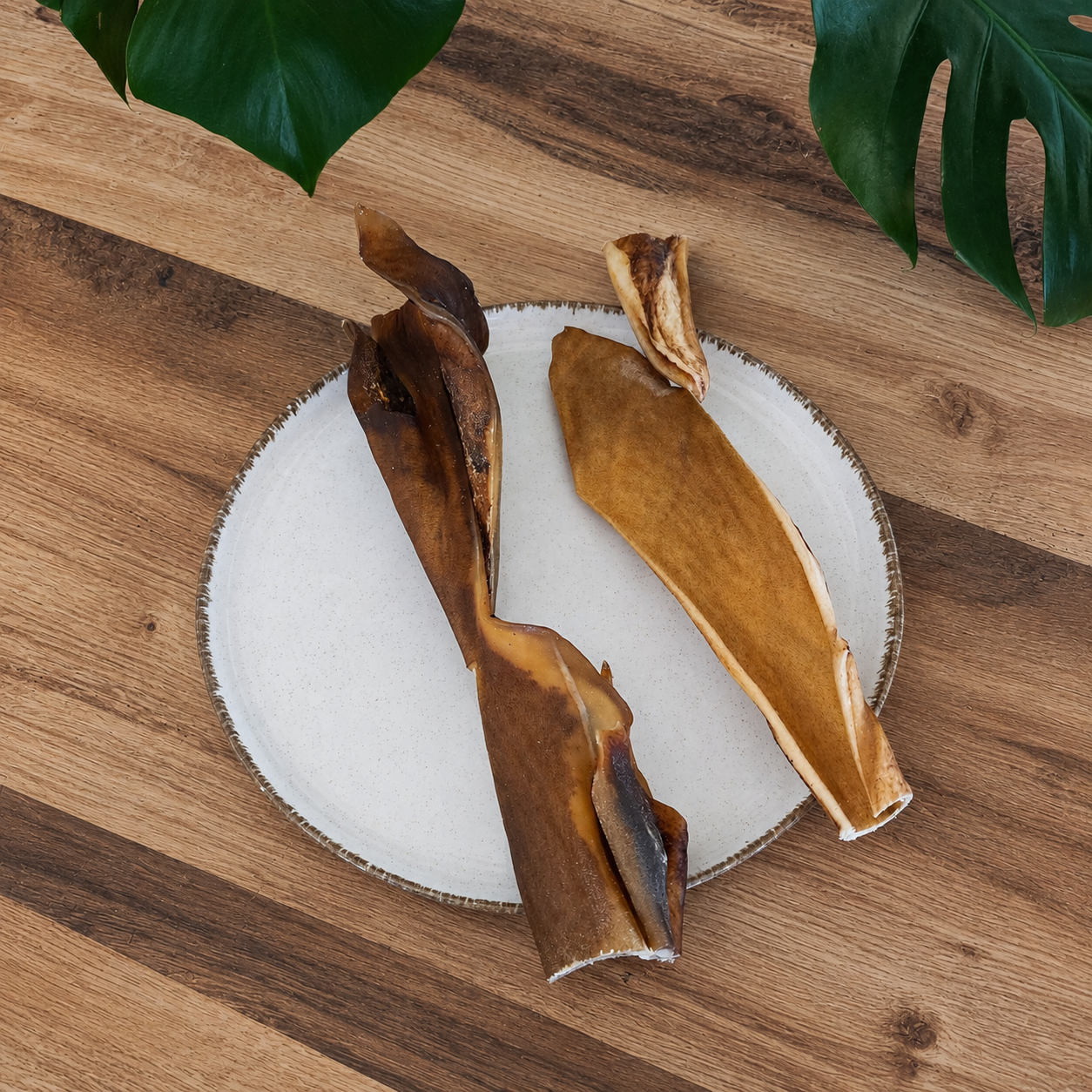 Peau de tête de bœuf naturelle séchée de 30 cm pour chien sur assiette