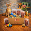 Box mensuelle pour Chat - Abonnement Standard (livraison chaque mois) - Boutique Aux Trois Pattes