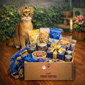 Box mensuelle pour Chat - Abonnement Premium (livraison chaque mois) - Boutique Aux Trois Pattes