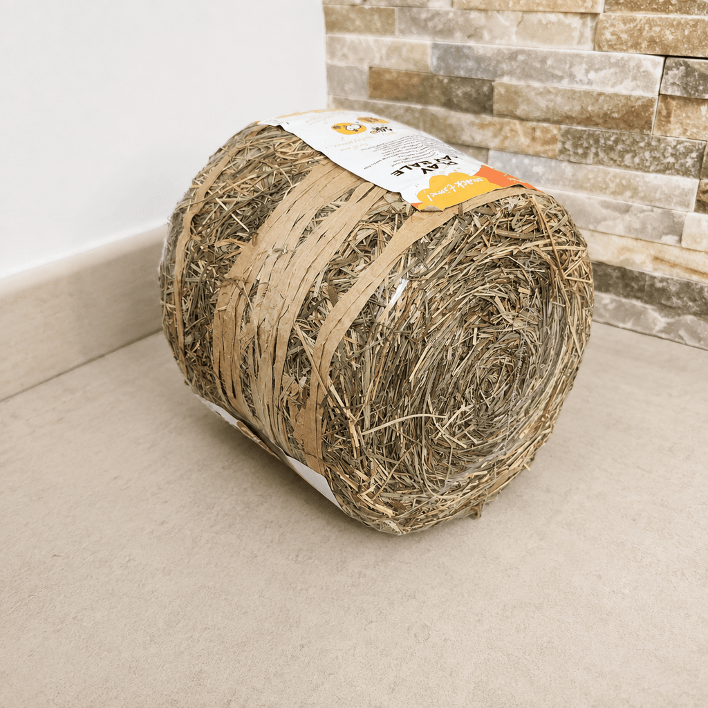 Foin pour lapin – Balle de foin naturelle 1 kg Duvo+ - Boutique Aux Trois Pattes