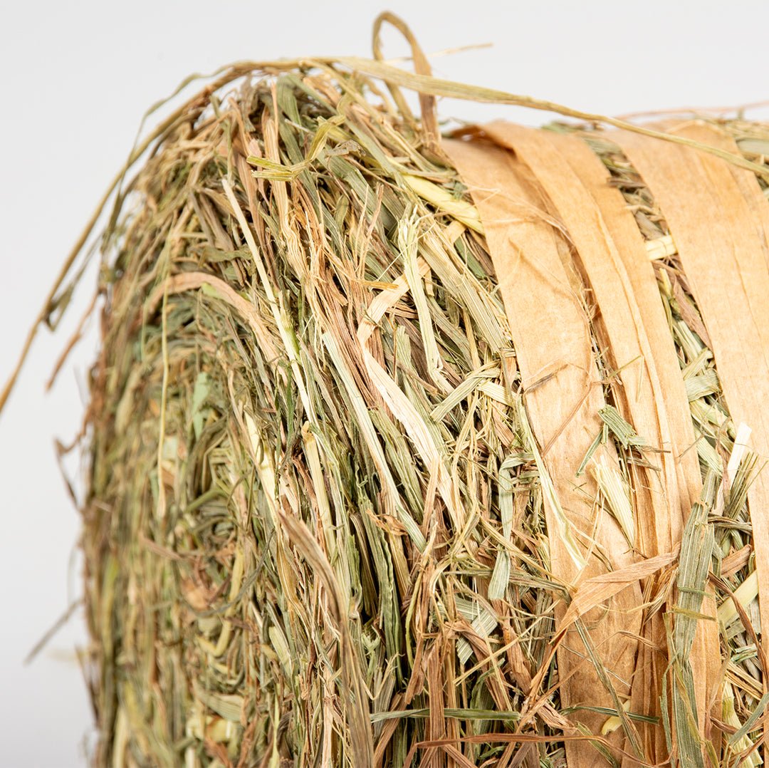 Foin pour lapin – Balle de foin naturelle 1 kg Duvo+ - Boutique Aux Trois Pattes