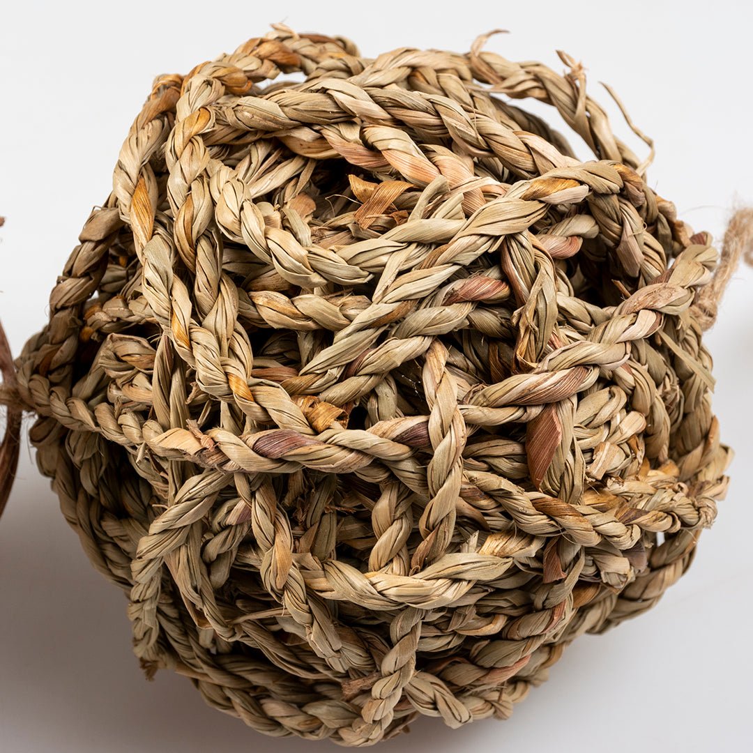 Jouet pour lapin – Lot de 3 balles naturelles à ronger Duvo+ - Boutique Aux Trois Pattes