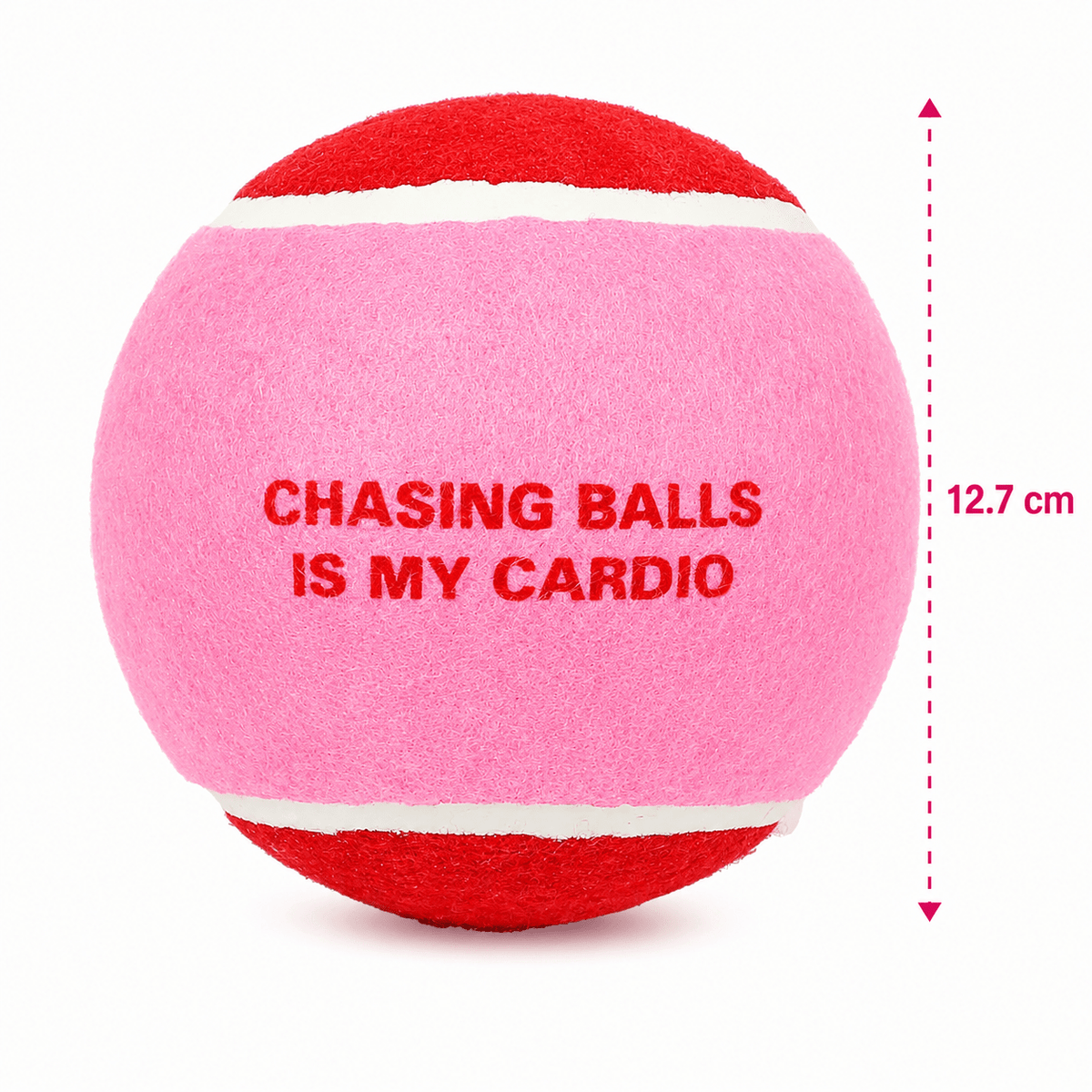 Balle de tennis XL pour chien Coockoo Chase Me – 12,7 cm - Boutique Aux Trois Pattes