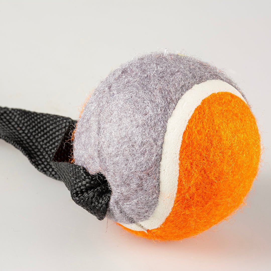 Jouet à tirer et à lancer avec balle pour chien – 55 cm – Duvo+ - Boutique Aux Trois Pattes