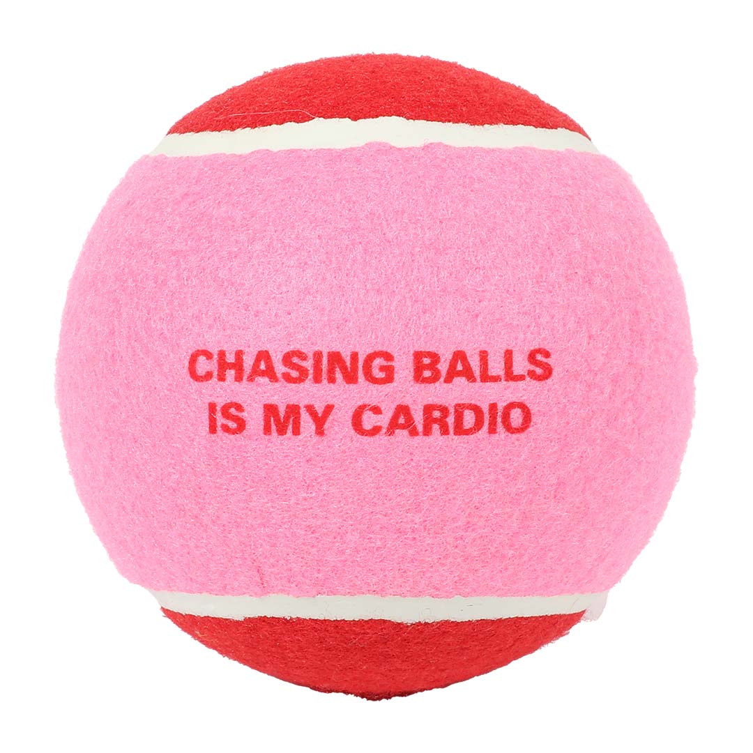 Balle de tennis XL pour chien Coockoo Chase Me – 12,7 cm - Boutique Aux Trois Pattes