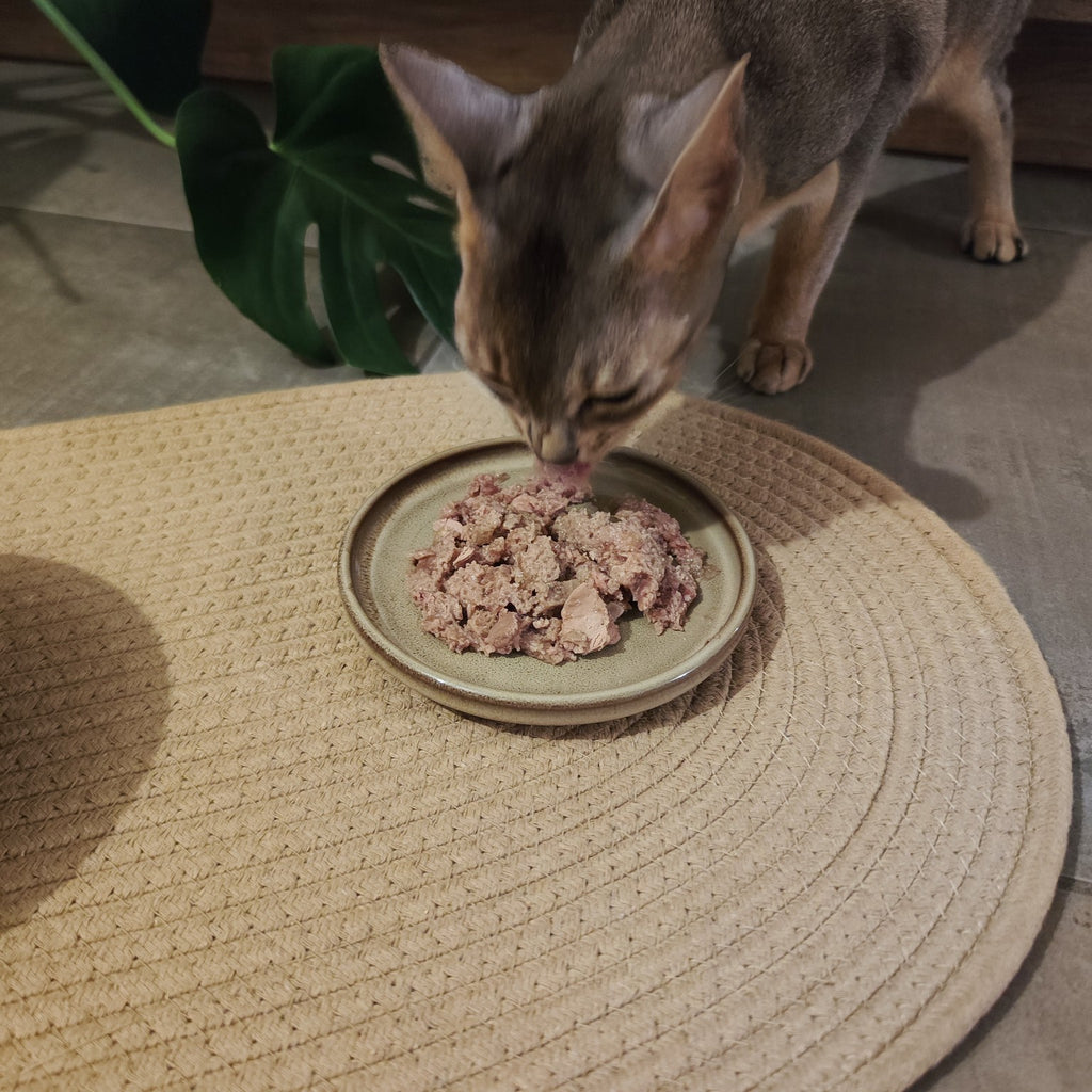 Chat mangeant sa pâtée dans une gamelle basse en céramique Sable