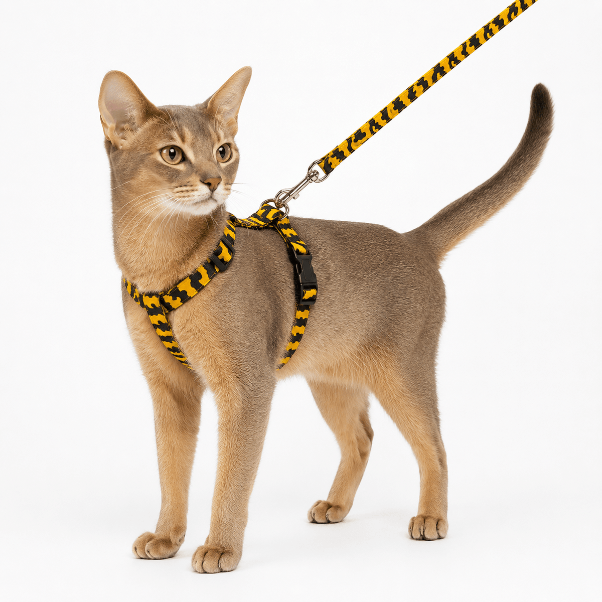 Harnais réglable avec laisse pour chat Duvo+ – Tigre ou Zèbre - Boutique Aux Trois Pattes