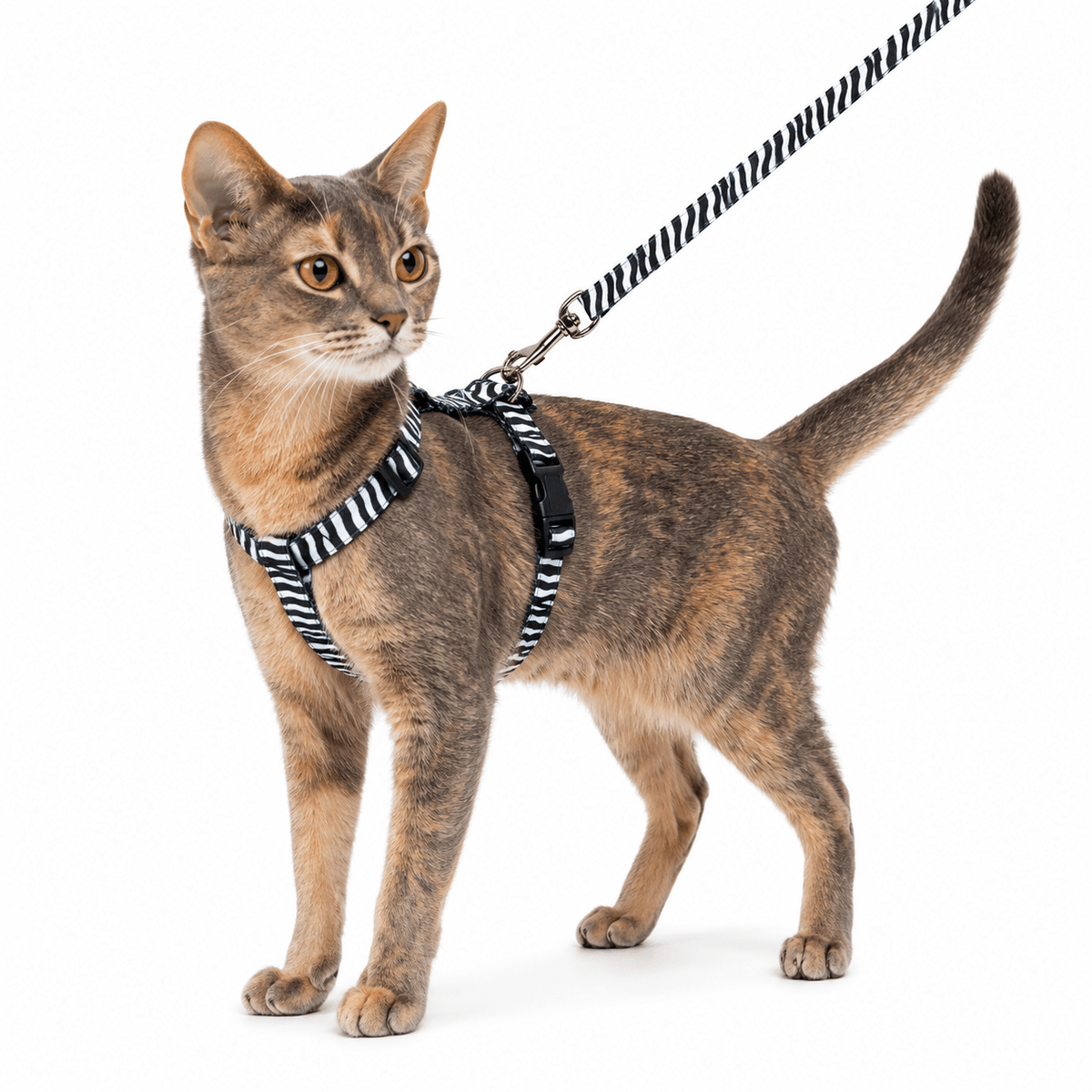 Harnais réglable avec laisse pour chat Duvo+ – Tigre ou Zèbre - Boutique Aux Trois Pattes