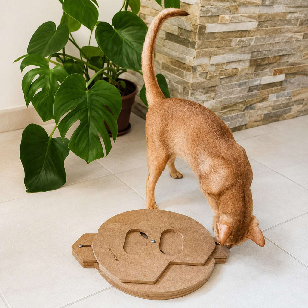 Chat utilisant le jeu d’intelligence Holt Games SPOT Niveau 3 en bois