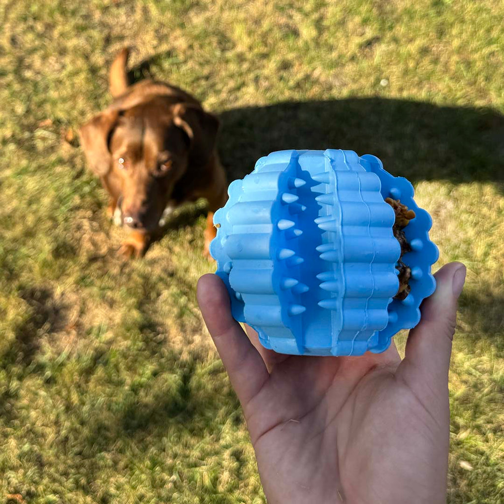Balle dentaire en caoutchouc pour chien Griplay – Duvo+ - Boutique Aux Trois Pattes