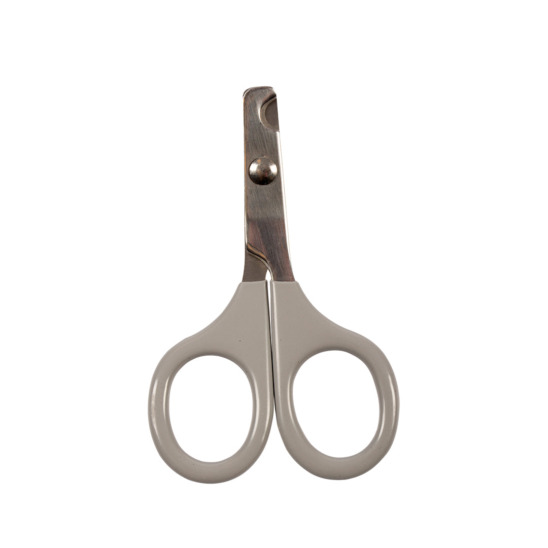 Ciseaux coupe-griffes courbés Duvoplus gris avec pointes arrondies sur fond blanc