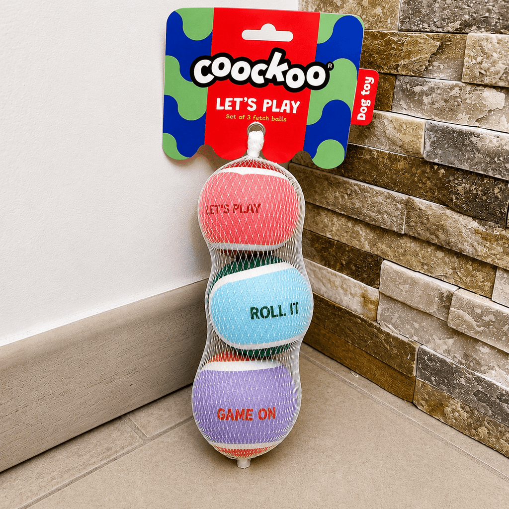 Coockoo Let’s Play – Lot de 3 balles pour chien 6,4 cm - Boutique Aux Trois Pattes