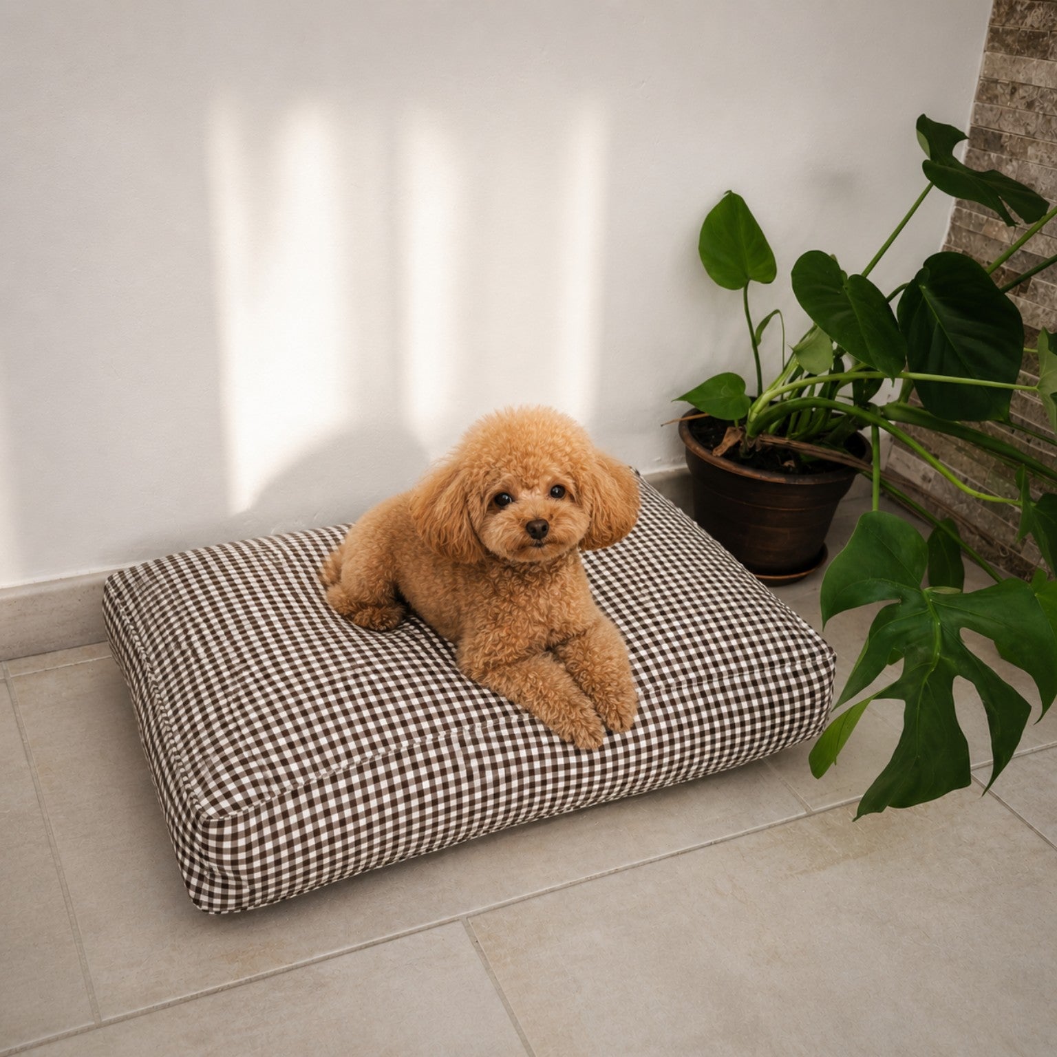 Coussin pour chien Nube premium - Boutique Aux Trois Pattes