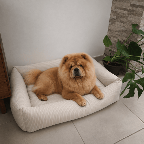 Coussin pour chien Refugio Premium - Boutique Aux Trois Pattes