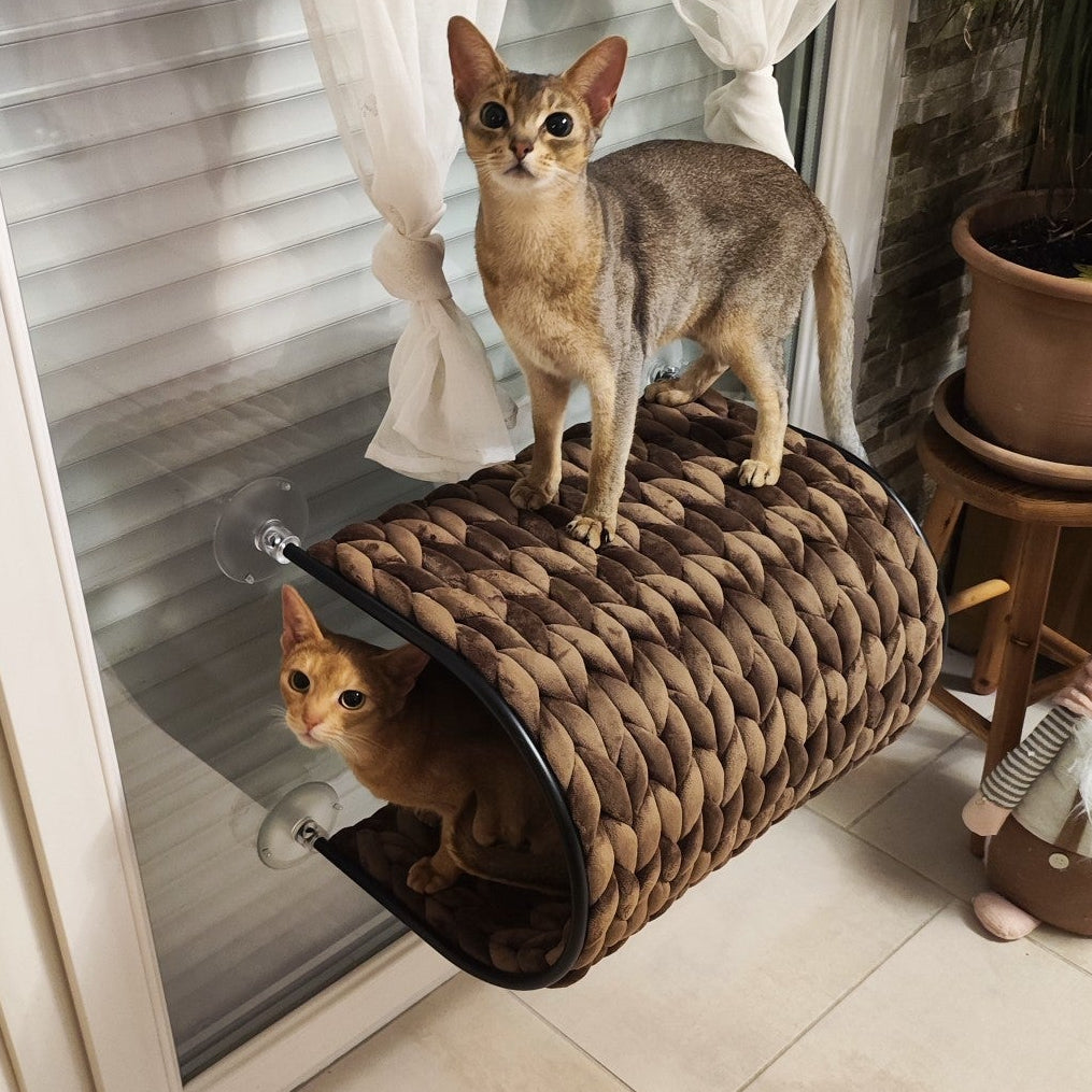 Deux chats installés sur le lit de fenêtre à ventouses Riley