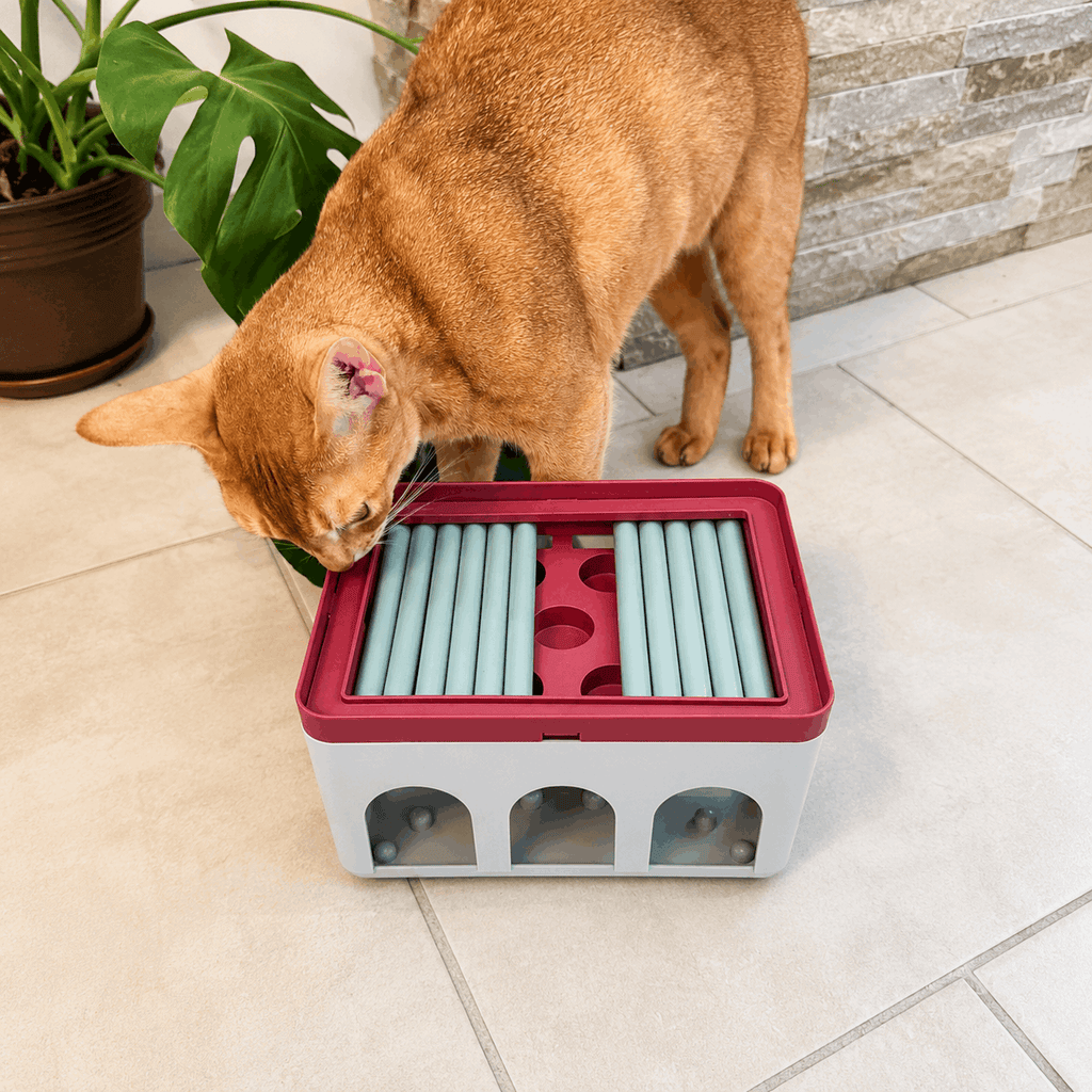 Trixie Cat Activity Rod Box – Jeu d’intelligence pour chat - Boutique Aux Trois Pattes