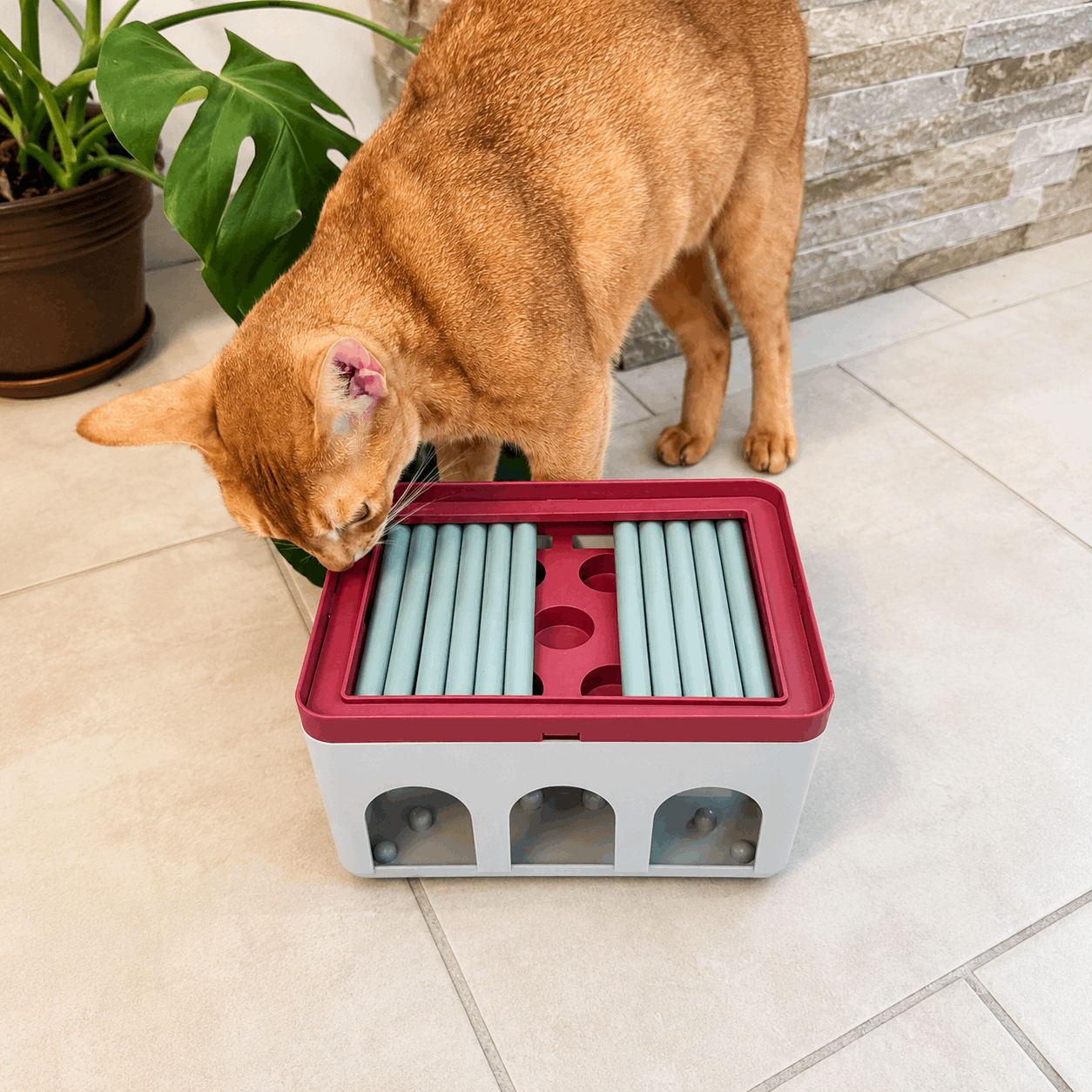 Trixie Cat Activity Rod Box – Jeu d’intelligence pour chat - Boutique Aux Trois Pattes