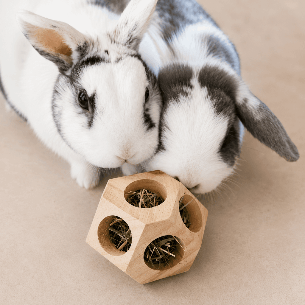 Balle d’occupation en bois naturel pour lapins - Boutique Aux Trois Pattes