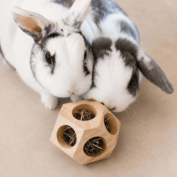 Balle d’occupation en bois naturel pour lapins - Boutique Aux Trois Pattes