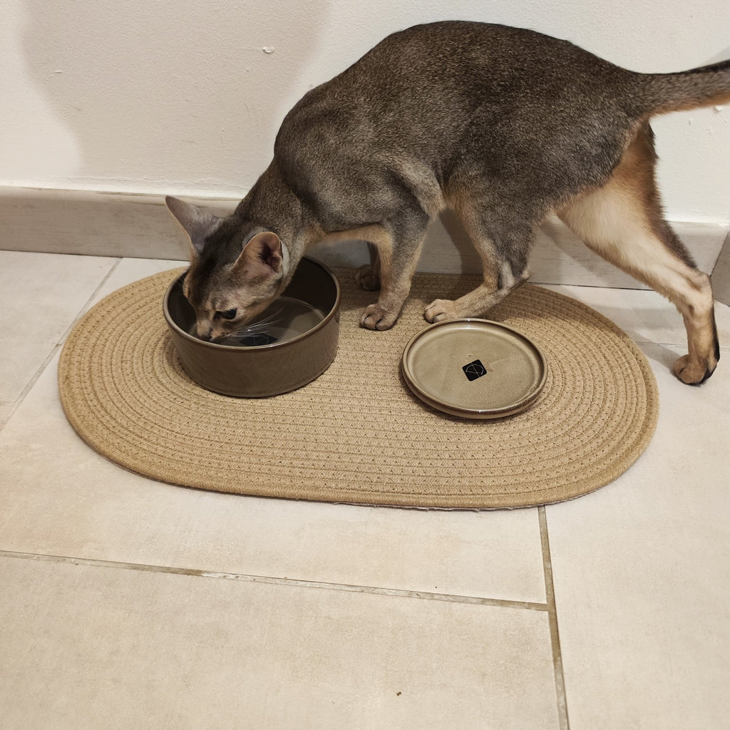 Chat buvant dans une gamelle en céramique marron, adaptée aux chats, chiens et lapins