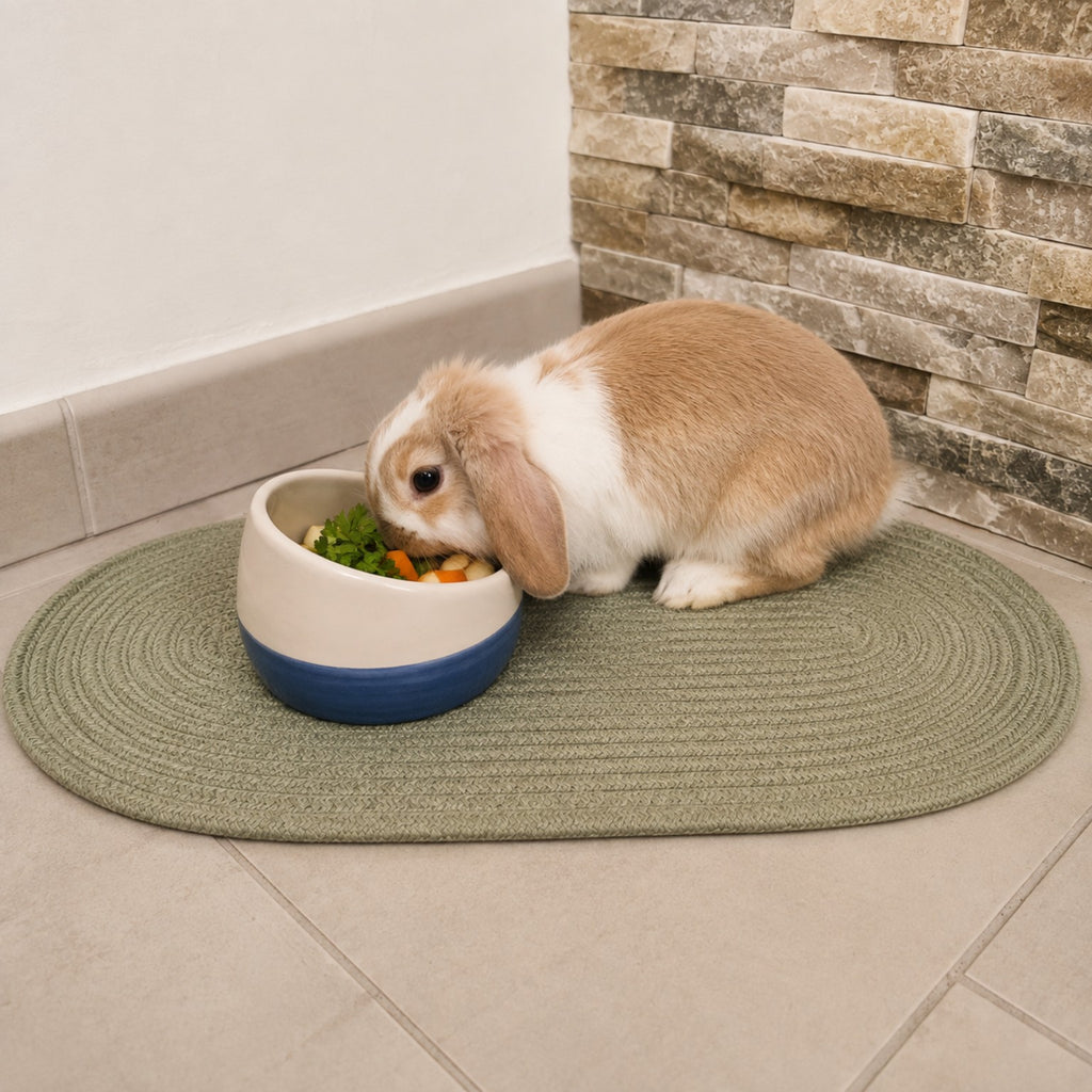 Gamelle lapin Schtroumpfs en céramique 320 ml – Duvo Plus - Boutique Aux Trois Pattes
