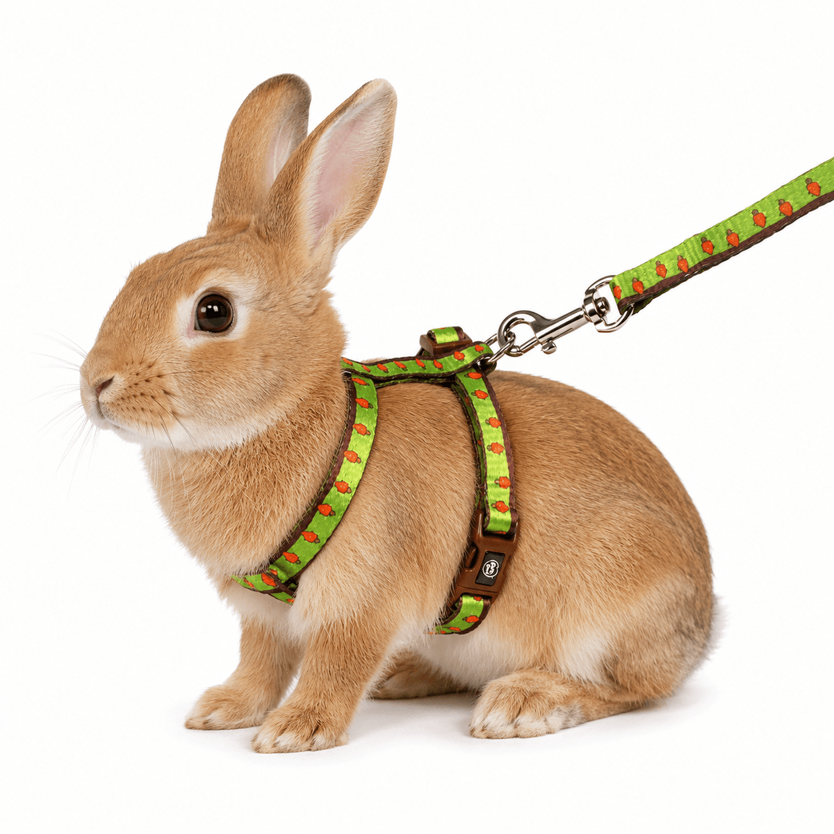 Harnais et laisse pour lapin Carrot – DuvoPlus - Boutique Aux Trois Pattes