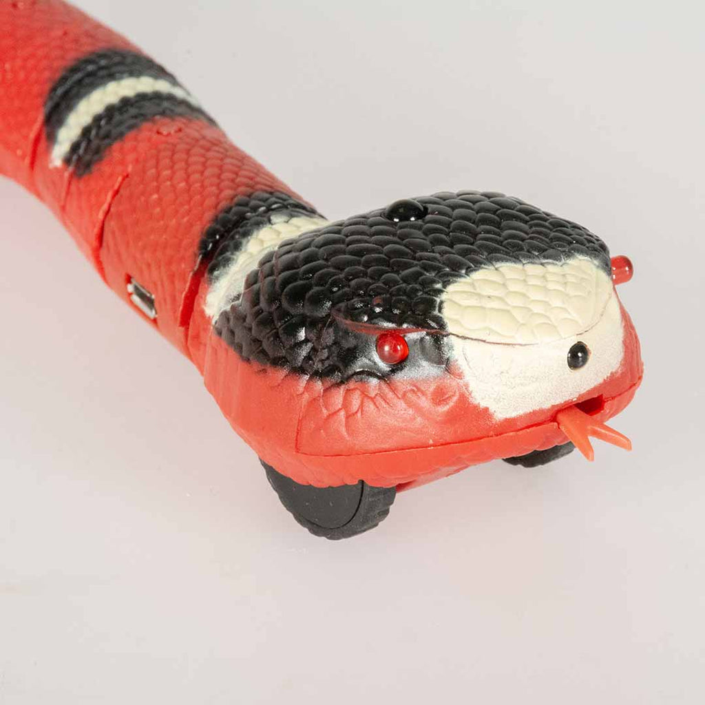 Jouet serpent automatique pour chat avec détection des obstacles