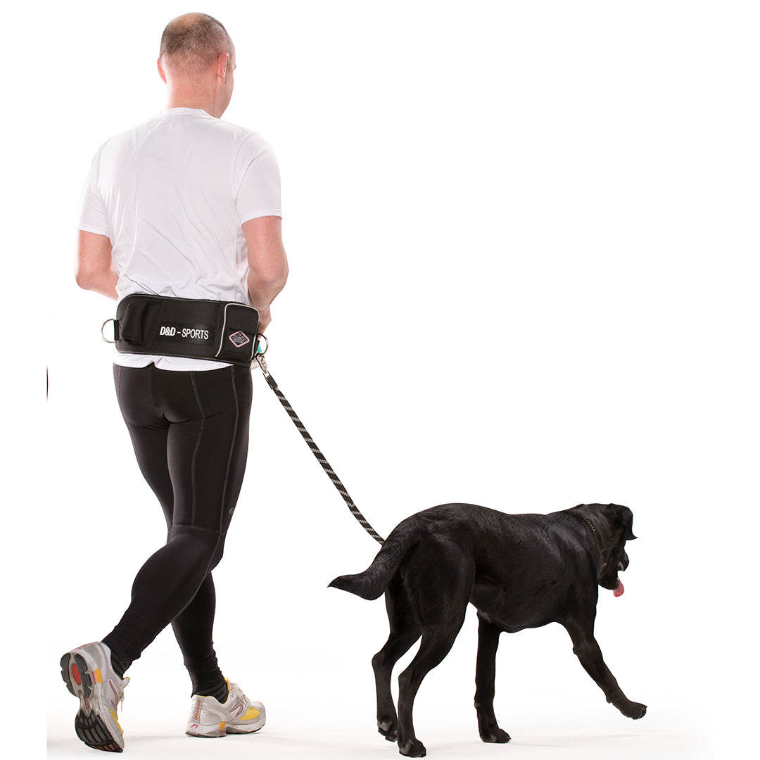 Laisse mains libres Active Walker pour promenade et jogging avec chien