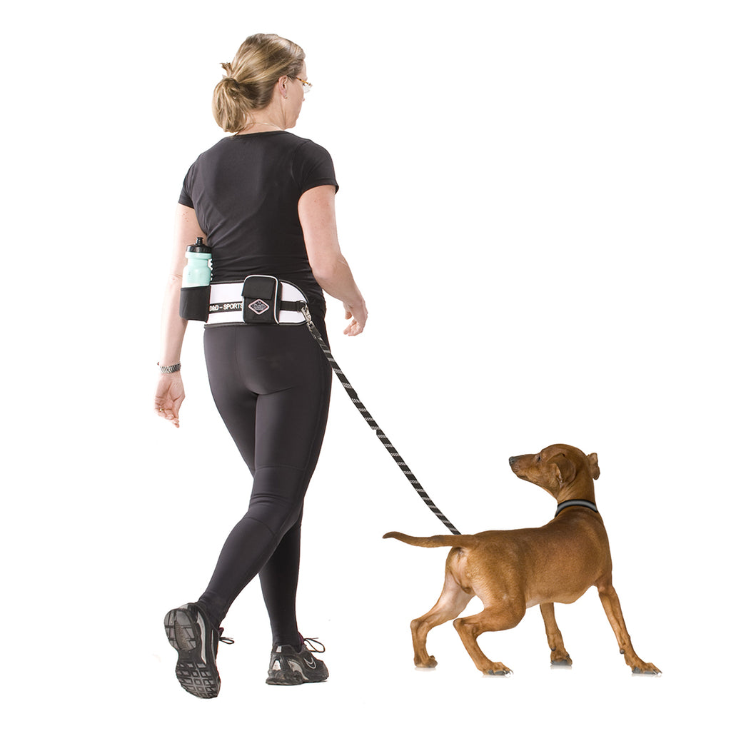 Laisse mains libres pour promenade et jogging avec chien jusqu’à 20 kg