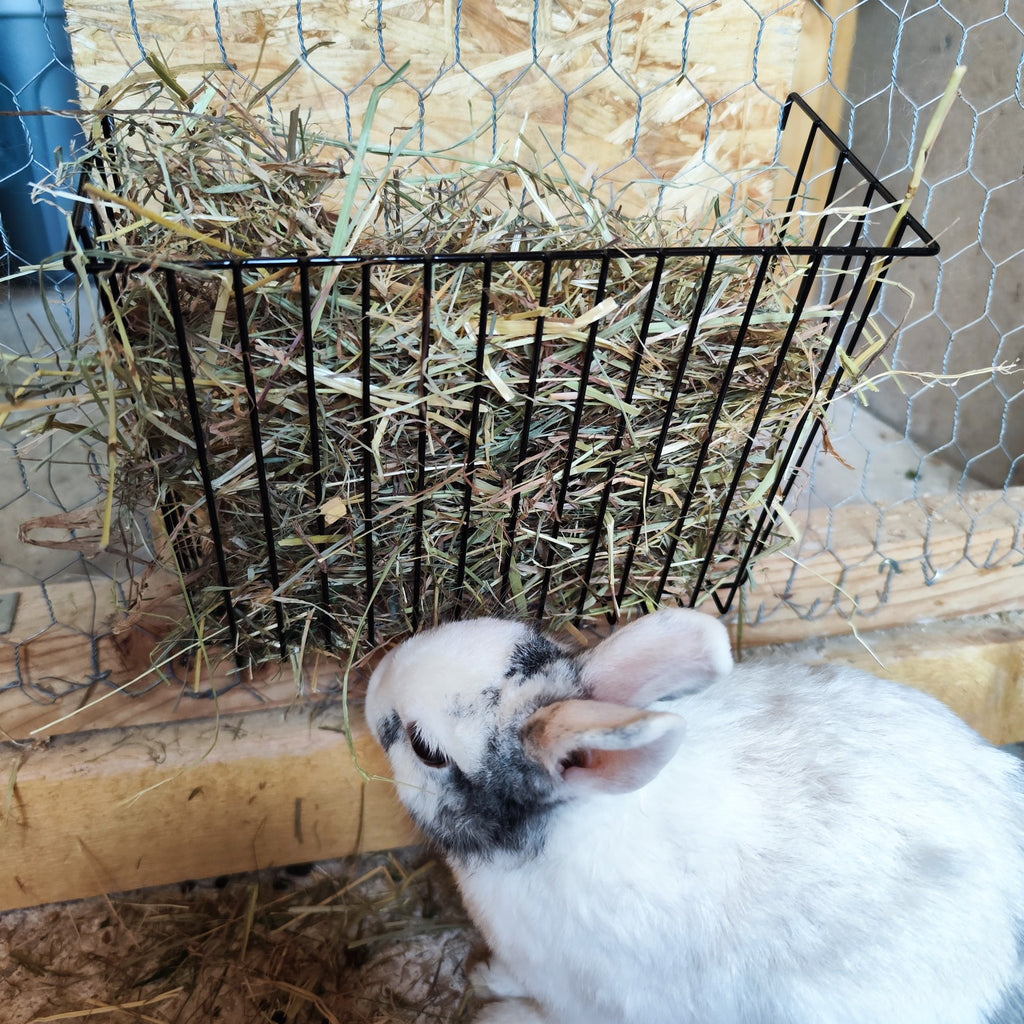 Râtelier à foin en métal pour lapin – à suspendre - Boutique Aux Trois Pattes