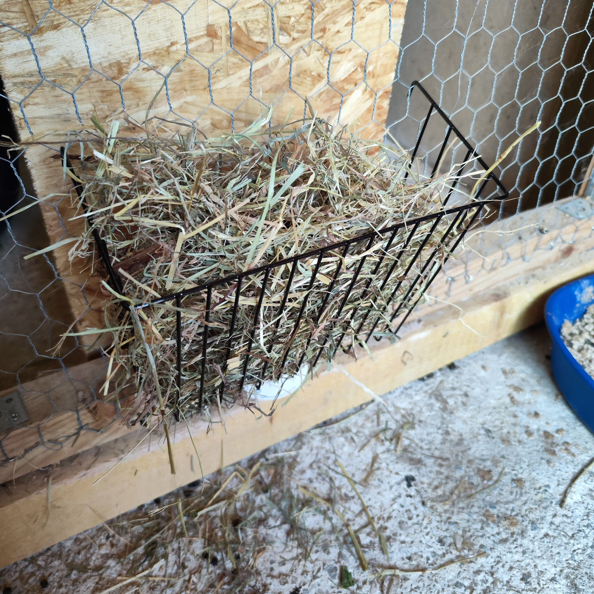Râtelier à foin en métal pour lapin – à suspendre - Boutique Aux Trois Pattes