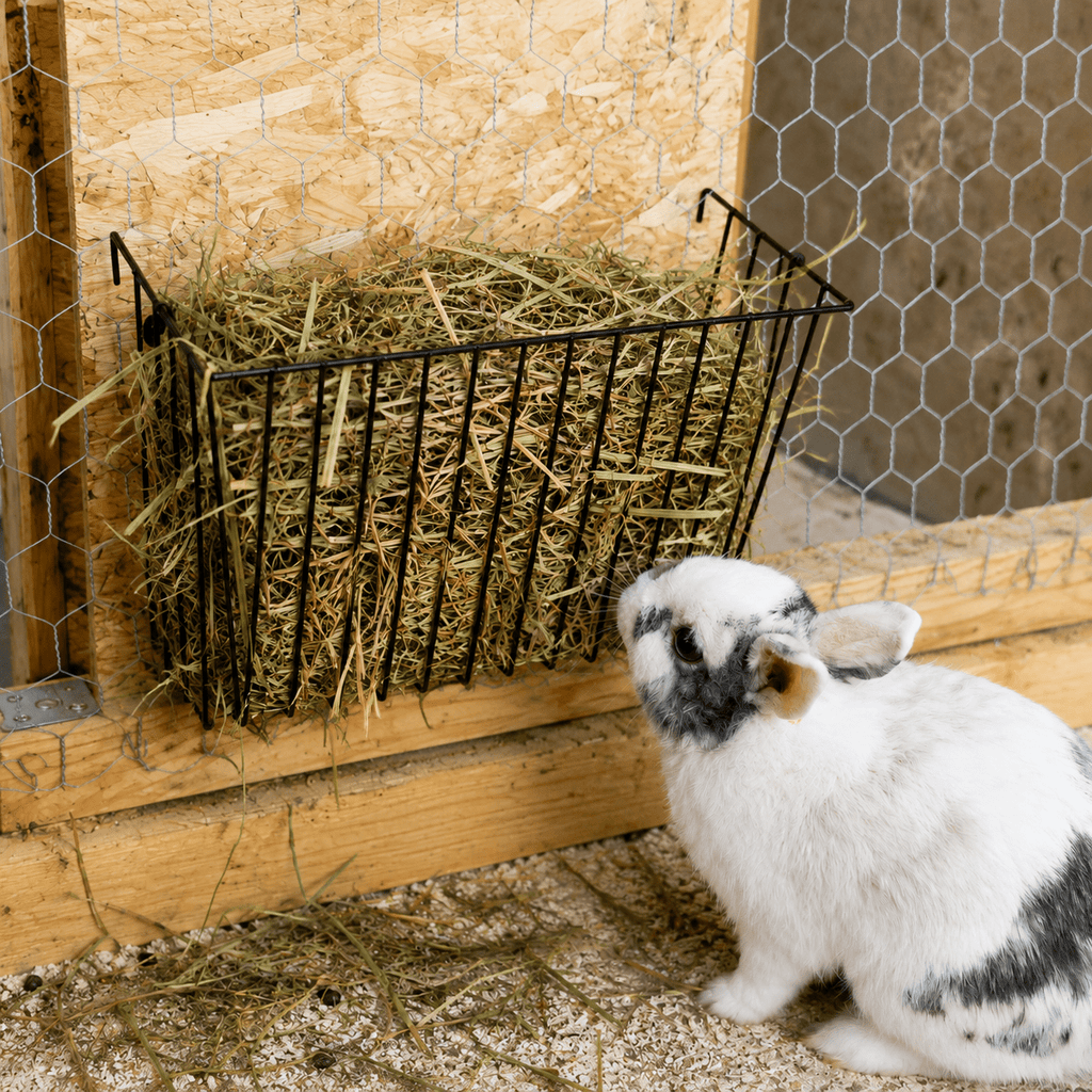 Râtelier à foin en métal pour lapin – à suspendre - Boutique Aux Trois Pattes