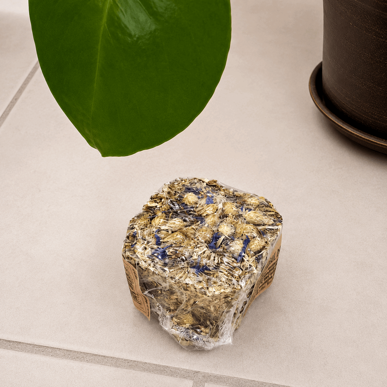 Lot de 3 cubes à ronger naturels Rosewood Naturals Grainless Nibble Pots – 75 g*3 - Boutique Aux Trois Pattes
