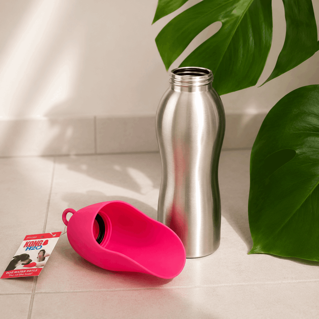 Gourde de voyage pour chiens et chats Rose KONG H2O™ – 740 ml - Boutique Aux Trois Pattes